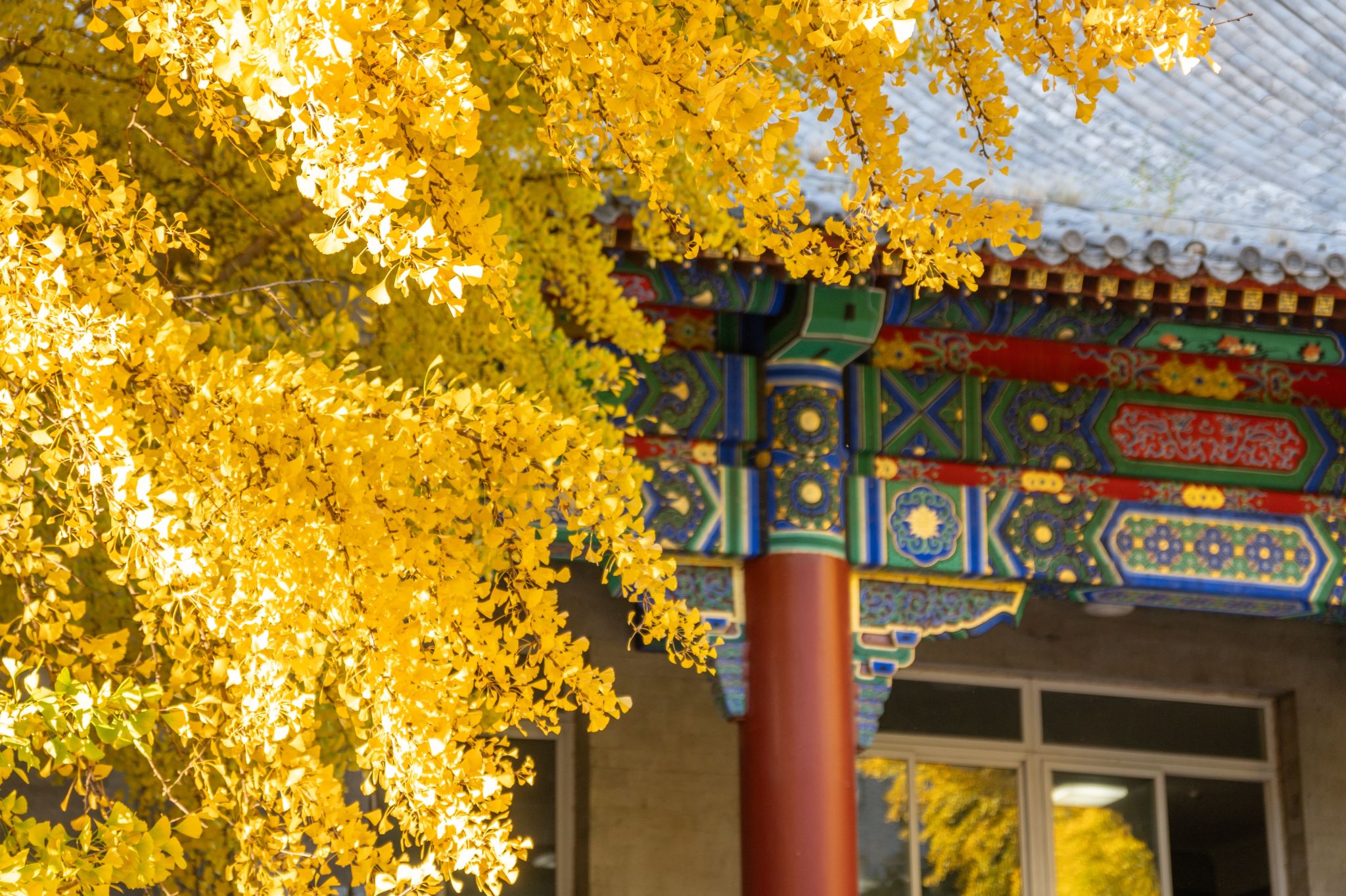 近代中外關系史暨中國與周邊國家關系史實驗班建設研討會在校召開