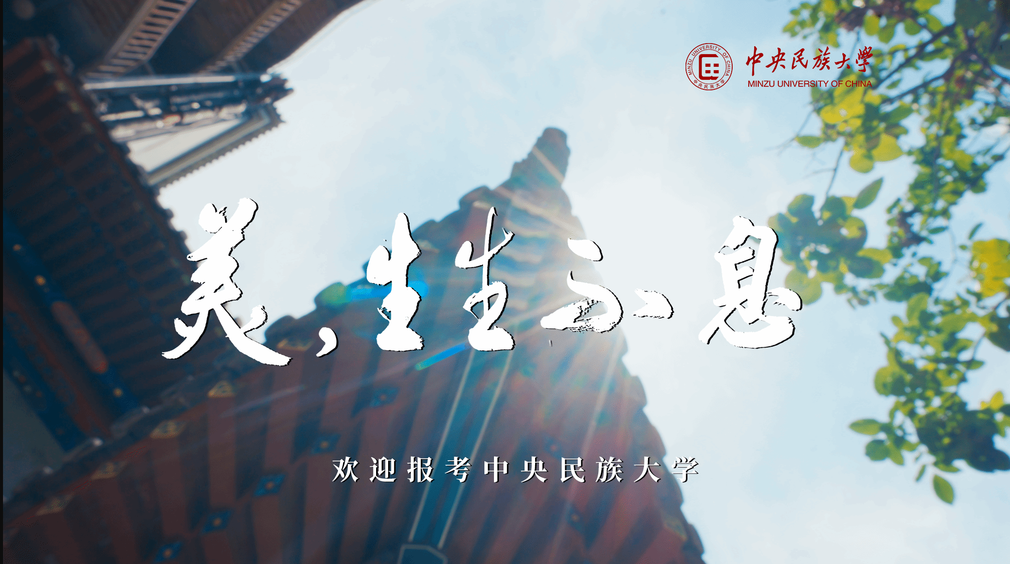 美，生生不息丨中央民族大學招生宣傳片重磅發布！