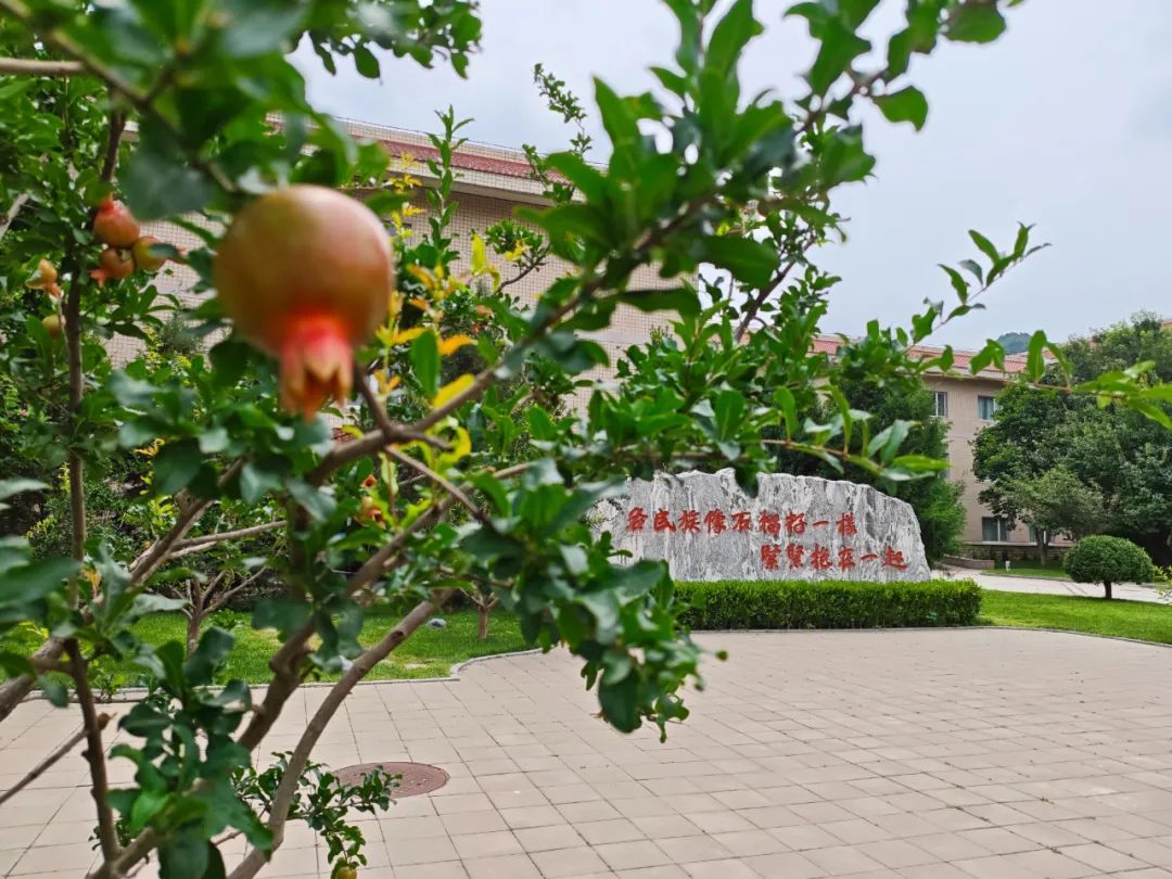 百名青年學(xué)者齊聚百望山，為建設(shè)中華民族共同體理論體系“集智”