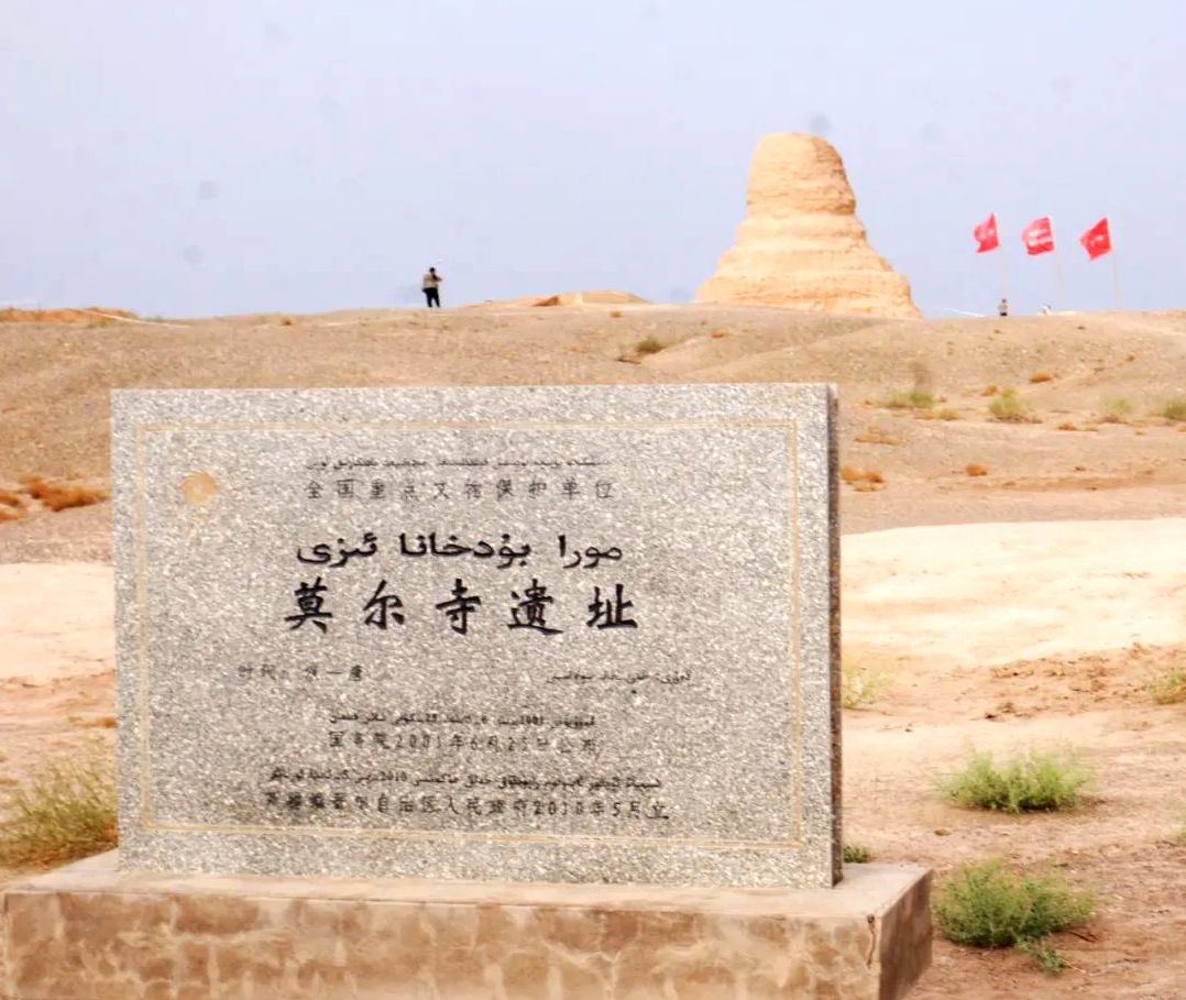 新疆，有一個重大發(fā)現(xiàn)！