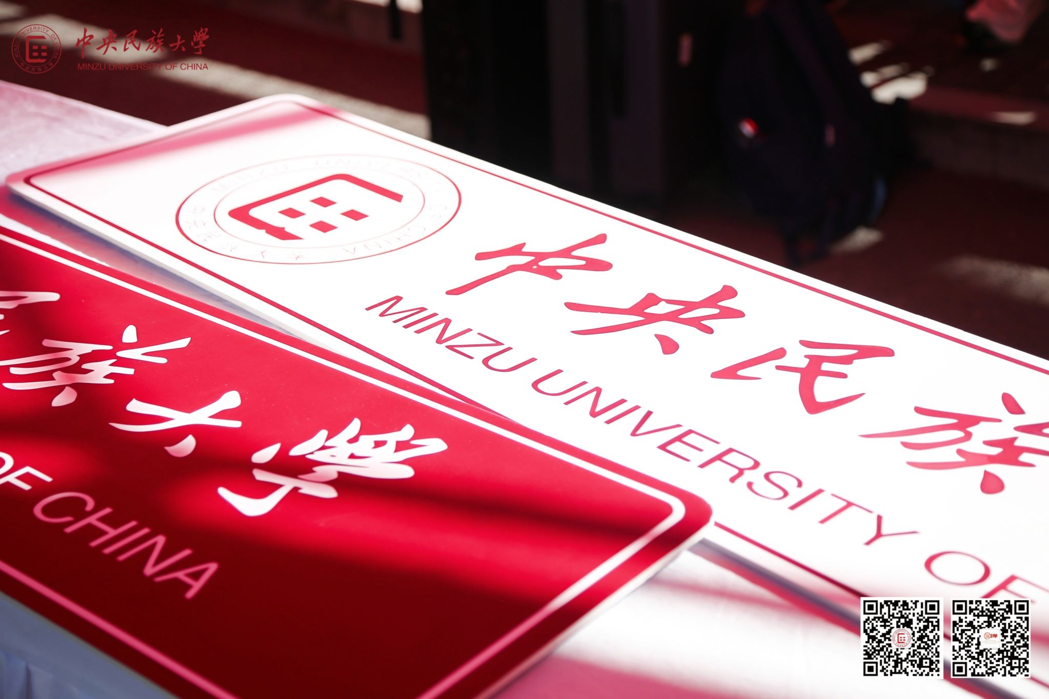 新手期的民大人原來是這YOUNG