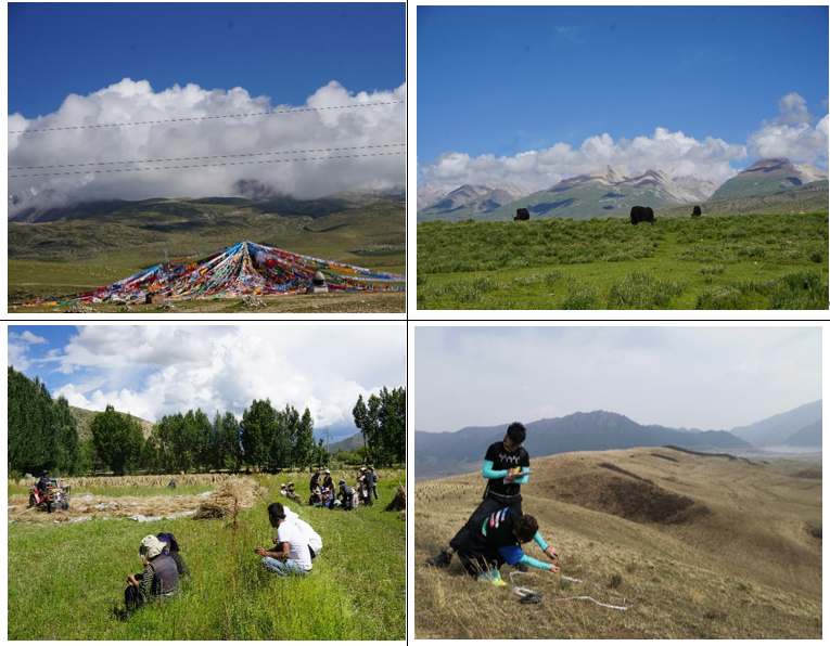 生命與環境科學學院師生深入青藏高原開展科學考察工作