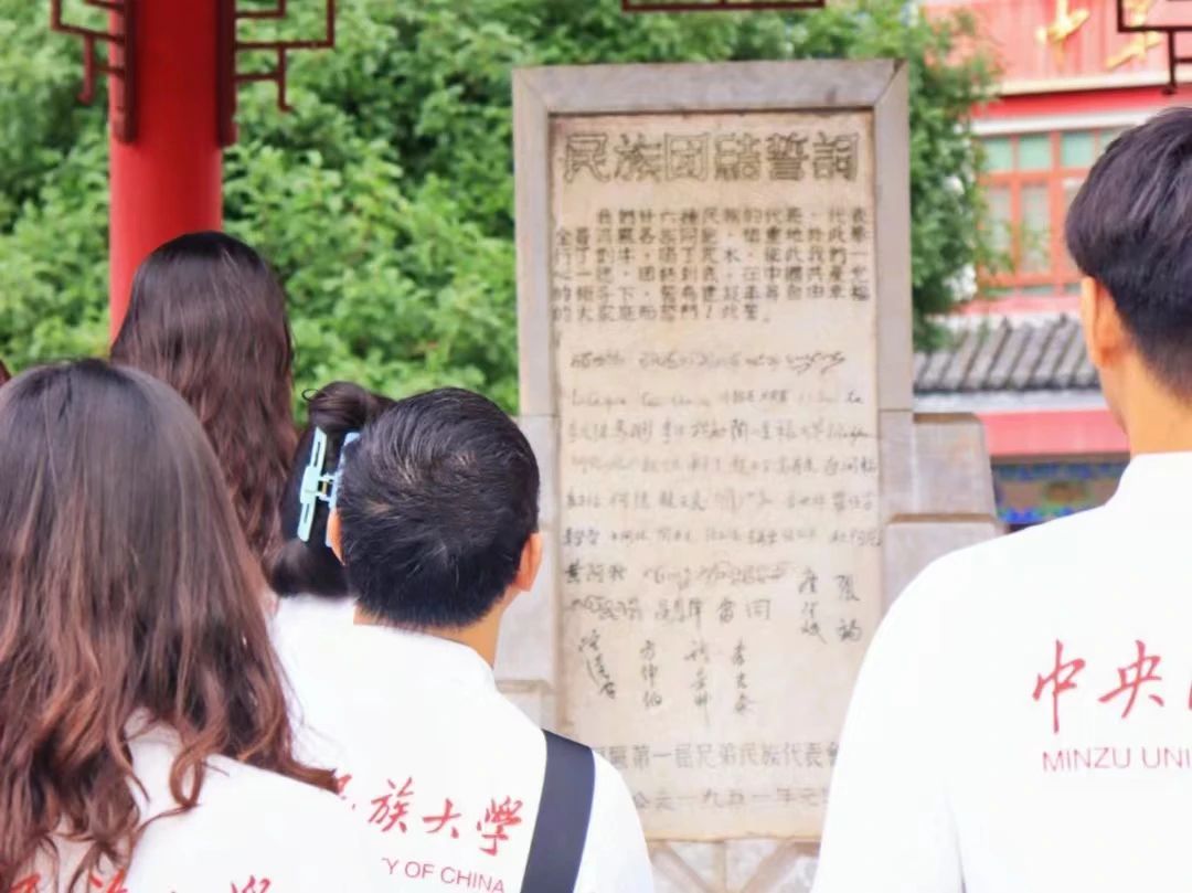 民族團結進步之花綻放于彩云之南 | 民大學子在行動！